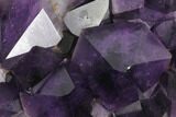 Beautiful, Purple Amethyst Crystal Cluster - Congo #148657-1